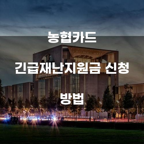 농협카드 긴급재난지원금 신청 방법