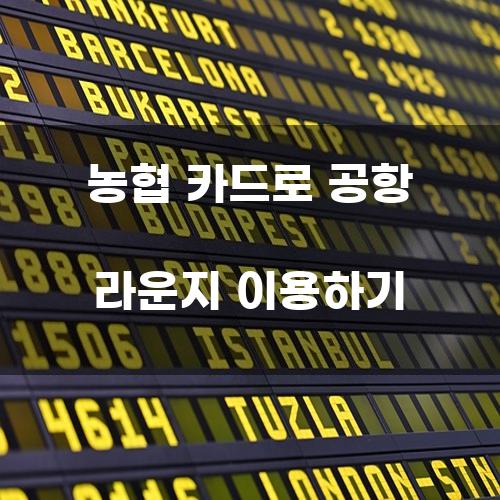 농협 카드로 공항 라운지 이용하기