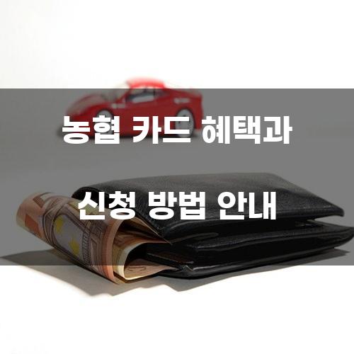 농협 카드 혜택과 신청 방법 안내