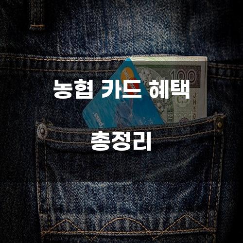 농협 카드 혜택 총정리