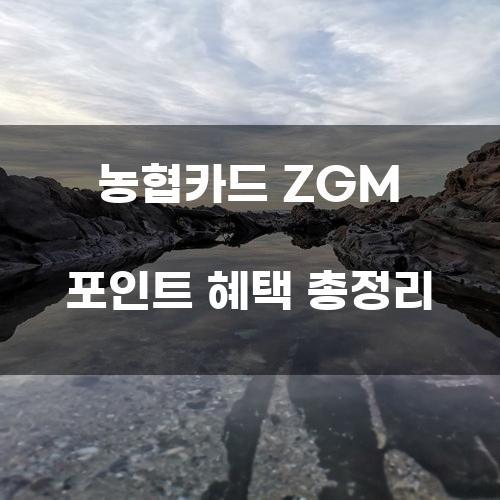 농협카드 ZGM 포인트 혜택 총정리