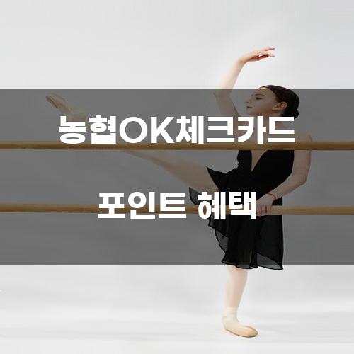 농협OK체크카드 포인트 혜택