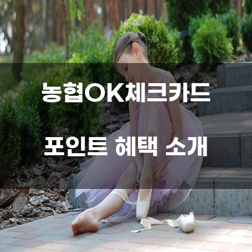 농협OK체크카드 포인트 혜택 소개