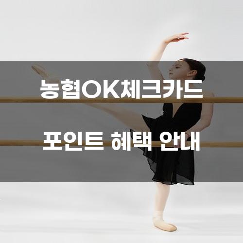 농협OK체크카드 포인트 혜택 안내