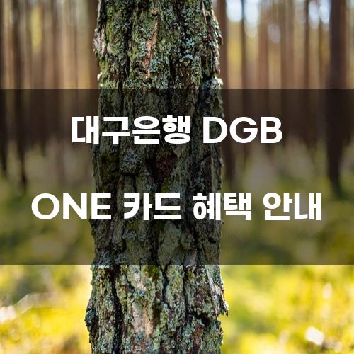 대구은행 DGB ONE 카드 혜택 안내