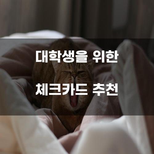 대학생을 위한 체크카드 추천