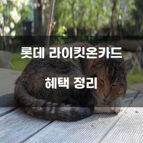 롯데 라이킷온카드 혜택 정리