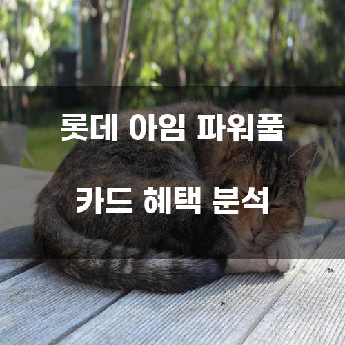 롯데 아임 파워풀 카드 혜택 분석