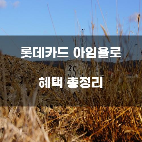 롯데카드 아임욜로 혜택 총정리