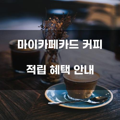 마이카페카드 커피 적립 혜택 안내