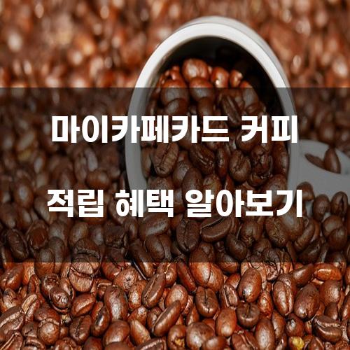 마이카페카드 커피 적립 혜택 알아보기