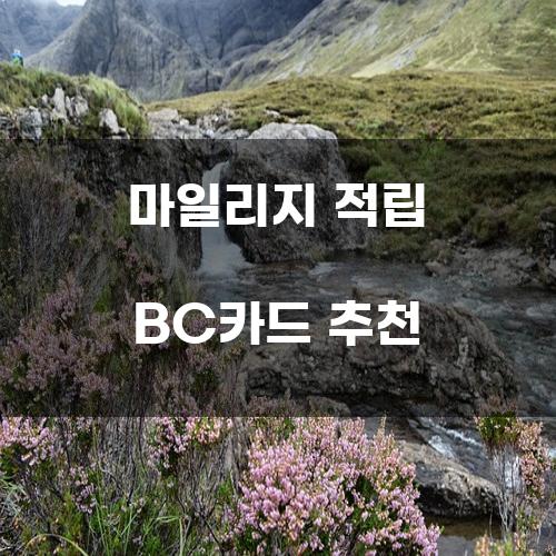 마일리지 적립 BC카드 추천