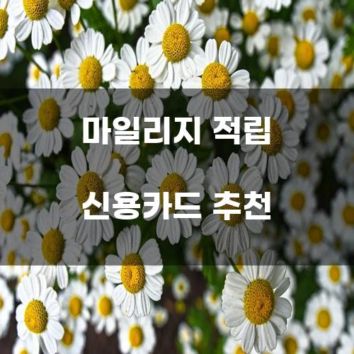 마일리지 적립 신용카드 추천