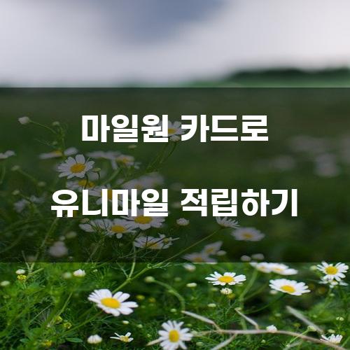 마일원 카드로 유니마일 적립하기