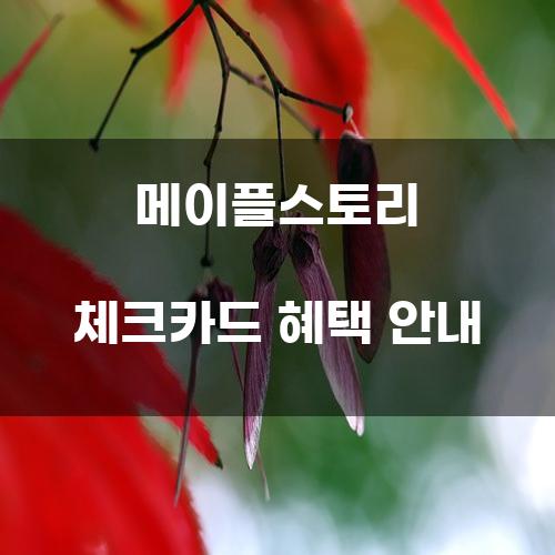 메이플스토리 체크카드 혜택 안내