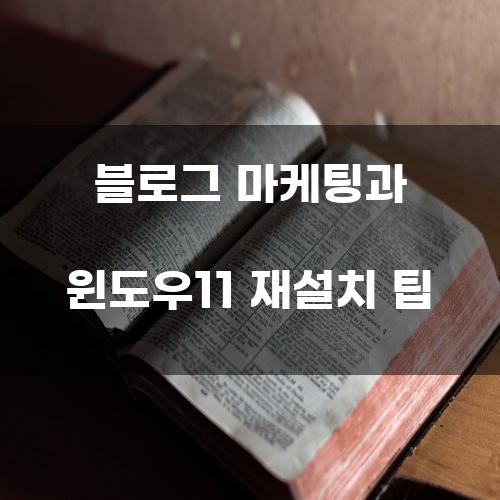 블로그 마케팅과 윈도우11 재설치 팁