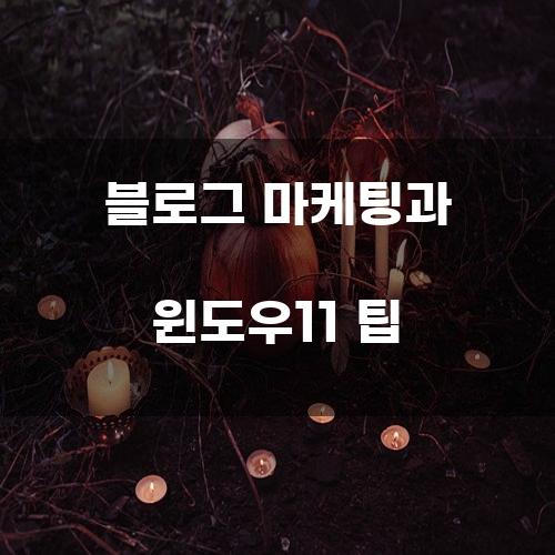 블로그 마케팅과 윈도우11 팁