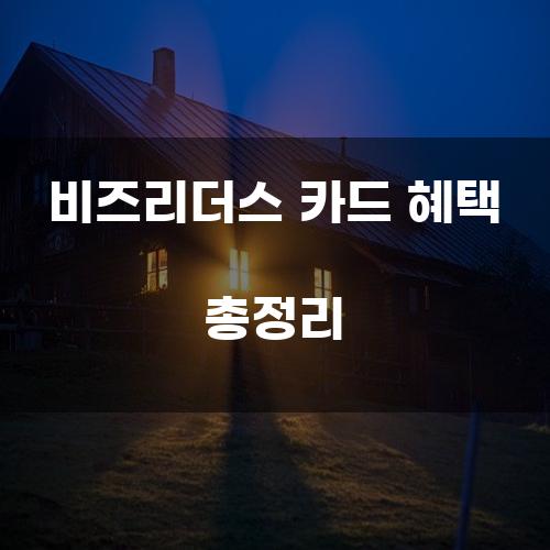 비즈리더스 카드 혜택 총정리