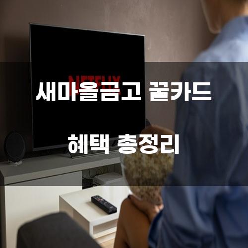 새마을금고 꿀카드 혜택 총정리