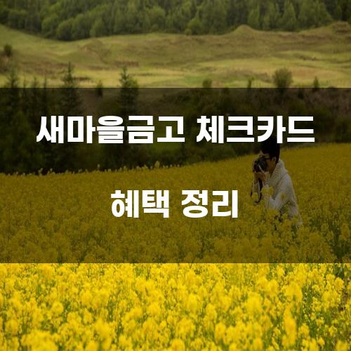 새마을금고 체크카드 혜택 정리