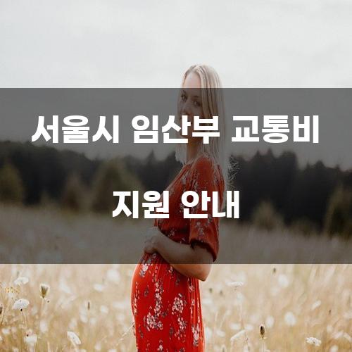 서울시 임산부 교통비 지원 안내