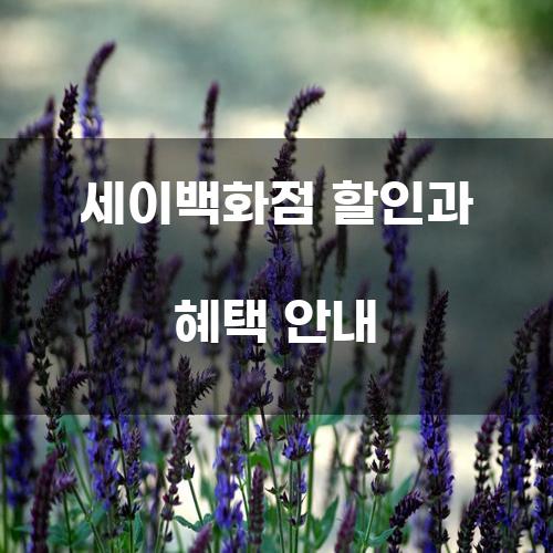 세이백화점 할인과 혜택 안내