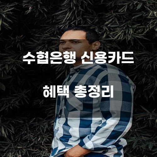 수협은행 신용카드 혜택 총정리