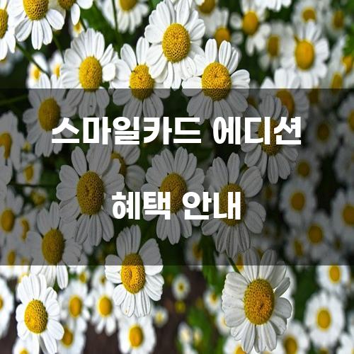 스마일카드 에디션 혜택 안내