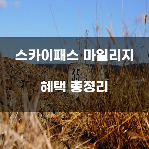 스카이패스 마일리지 혜택 총정리