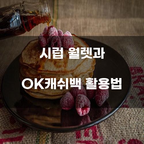 시럽 월렛과 OK캐쉬백 활용법