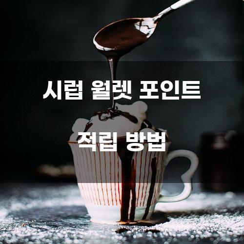 시럽 월렛 포인트 적립 방법