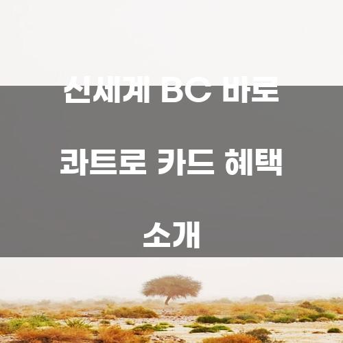 신세계 BC 바로 콰트로 카드 혜택 소개