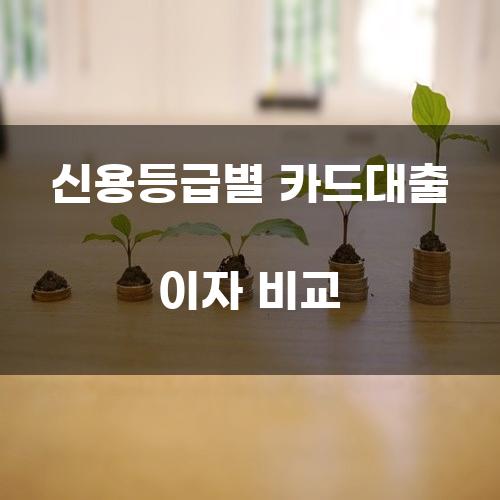 신용등급별 카드대출 이자 비교