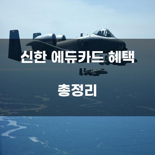 신한 에듀카드 혜택 총정리