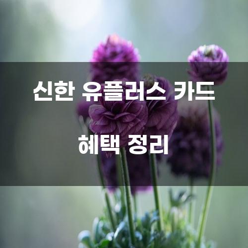 신한 유플러스 카드 혜택 정리