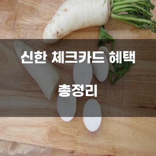 신한 체크카드 혜택 총정리