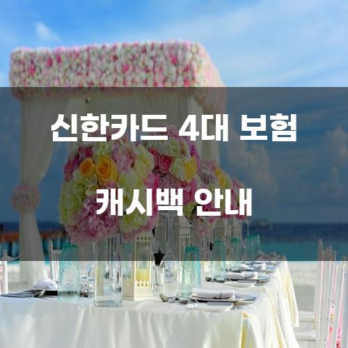 신한카드 4대 보험 캐시백 안내