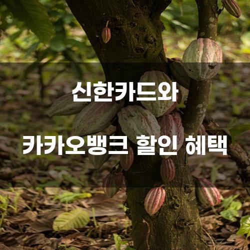 신한카드와 카카오뱅크 할인 혜택