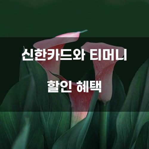 신한카드와 티머니 할인 혜택