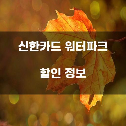 신한카드 워터파크 할인 정보