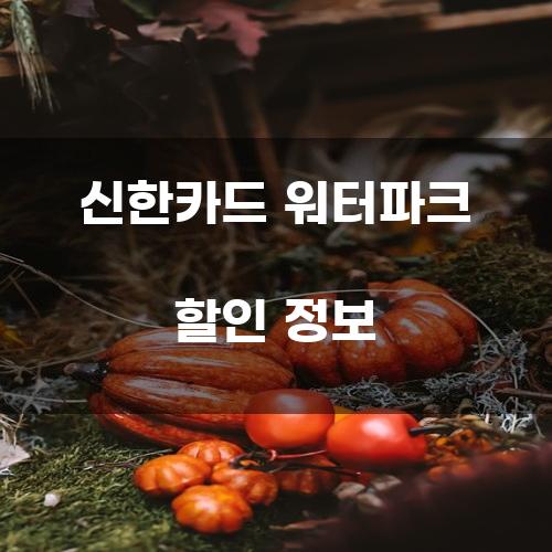 신한카드 워터파크 할인 정보