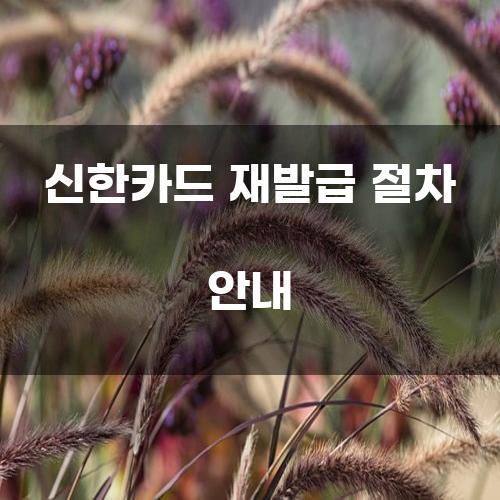 신한카드 재발급 절차 안내