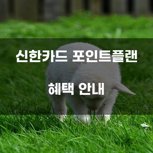 신한카드 포인트플랜 혜택 안내