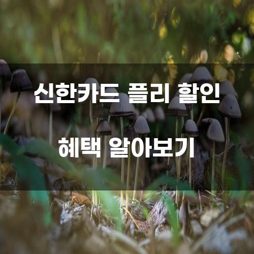 신한카드 플리 할인 혜택 알아보기