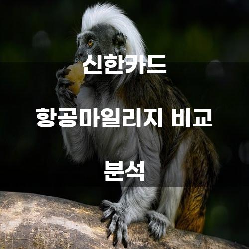 신한카드 항공마일리지 비교 분석