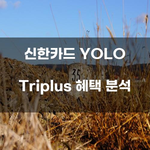 신한카드 YOLO Triplus 혜택 분석