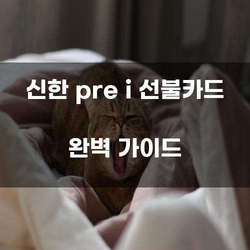 신한 pre i 선불카드 완벽 가이드