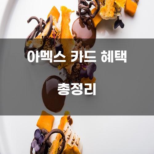 아멕스 카드 혜택 총정리