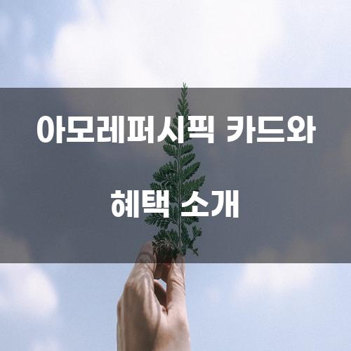 아모레퍼시픽 카드와 혜택 소개