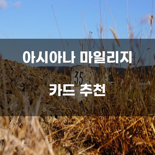 아시아나 마일리지 카드 추천